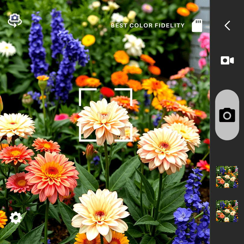 Best Color Fidelity
